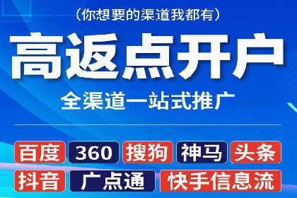 成功案例：网络推广与竞价广告的完美结合